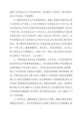 仙游县电力总公司20xx年度安全生产工作总结